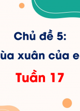 Chủ đề 5 Mùa xuân của em  Tuần 17